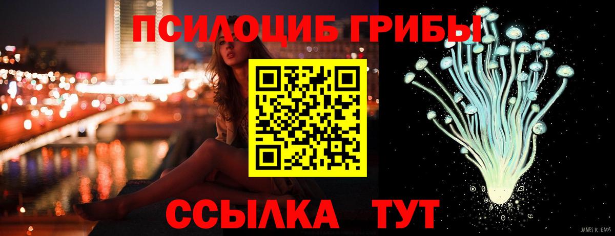 Псилоцибиновые грибы Cubensis  Вход с VPN  Холмск 